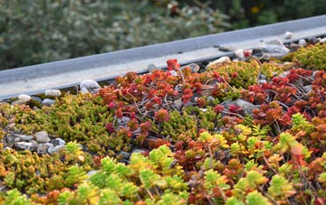 the cost of Barcombe Cross green roof installation