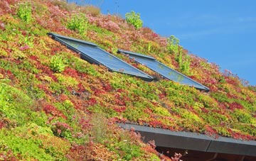Barcombe Cross living roof systems
